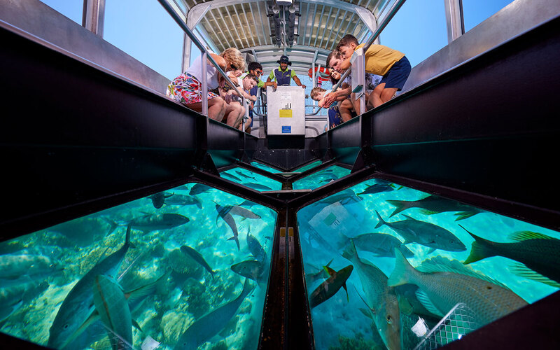 Crucero en barco con fondo de cristal y observación de arrecifes de coral
